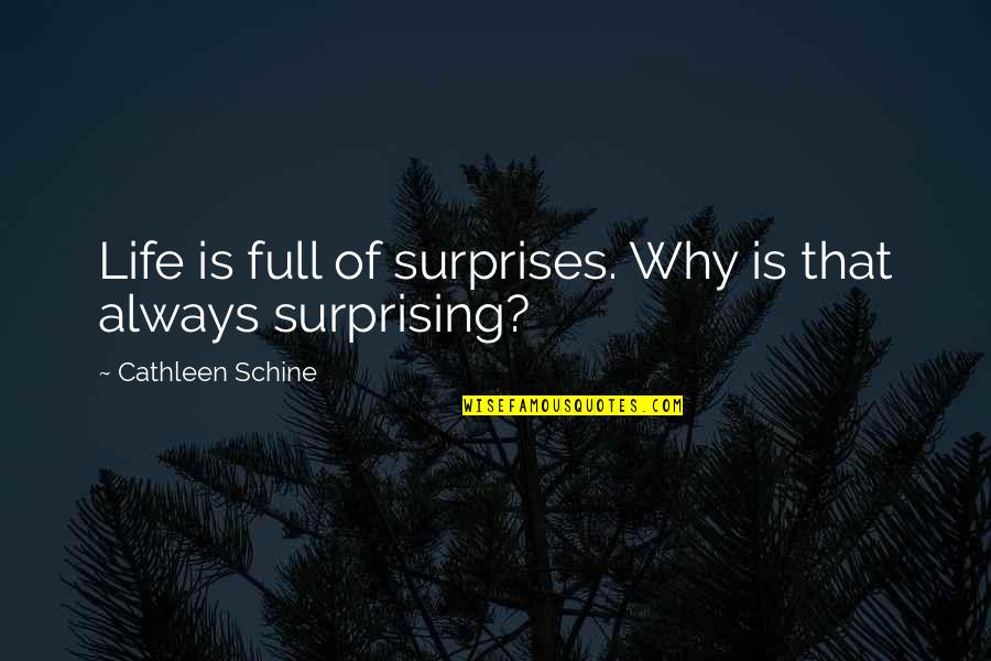 Kobraki Quotes By Cathleen Schine: Life is full of surprises. Why is that
