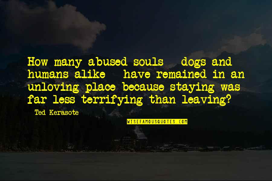 Kobunga Quotes By Ted Kerasote: How many abused souls - dogs and humans Kobunga Quotes By Ted Kerasote: How many abused souls - dogs and humans