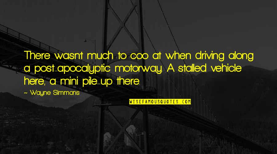 Kocevski Nemci Quotes By Wayne Simmons: There wasn't much to coo at when driving