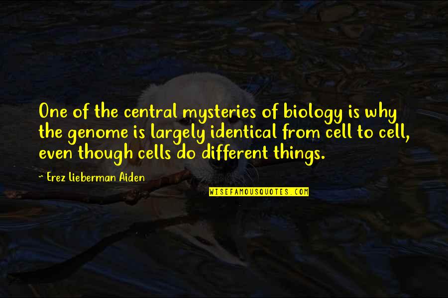 Kochane Kotki Quotes By Erez Lieberman Aiden: One of the central mysteries of biology is