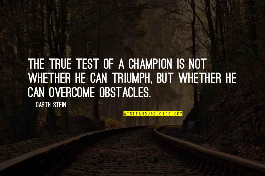 Koco News 5 Quotes By Garth Stein: The true test of a champion is not Koco News 5 Quotes By Garth Stein: The true test of a champion is not