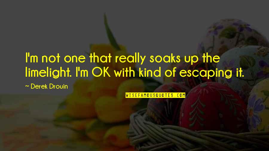 Kocurek Land Quotes By Derek Drouin: I'm not one that really soaks up the