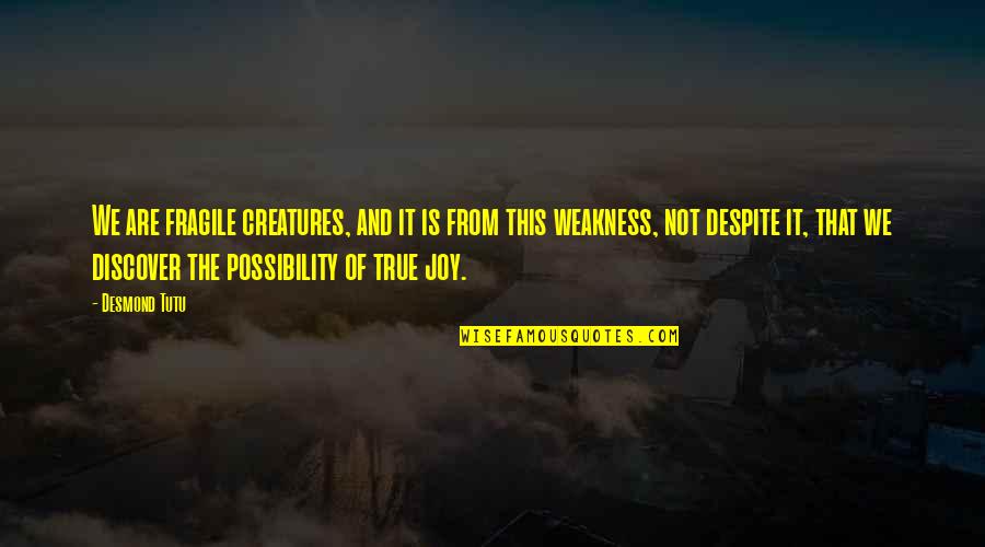 Kod Stock Quote Quotes By Desmond Tutu: We are fragile creatures, and it is from Kod Stock Quote Quotes By Desmond Tutu: We are fragile creatures, and it is from