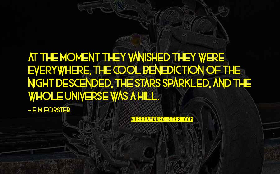 Kodiak Bear Quotes By E. M. Forster: At the moment they vanished they were everywhere,