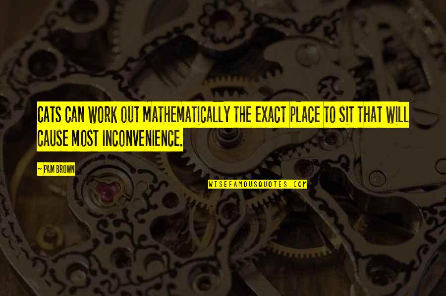 Koekjes Quotes By Pam Brown: Cats can work out mathematically the exact place Koekjes Quotes By Pam Brown: Cats can work out mathematically the exact place
