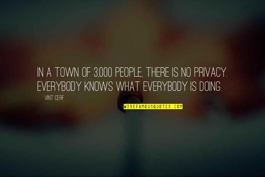 Koekkoek Hockeydb Quotes By Vint Cerf: In a town of 3,000 people, there is Koekkoek Hockeydb Quotes By Vint Cerf: In a town of 3,000 people, there is