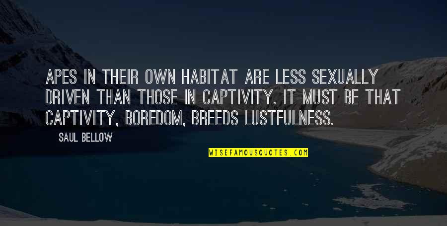 Koelmeyer West Quotes By Saul Bellow: Apes in their own habitat are less sexually Koelmeyer West Quotes By Saul Bellow: Apes in their own habitat are less sexually