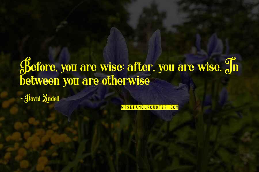Koerperich Alix Quotes By David Zindell: Before, you are wise; after, you are wise.