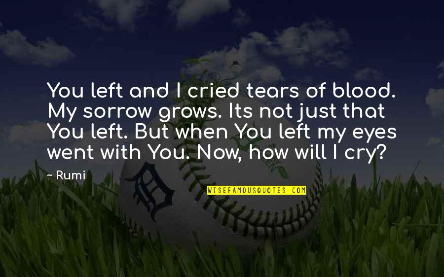 Kof Bao Quotes By Rumi: You left and I cried tears of blood. Kof Bao Quotes By Rumi: You left and I cried tears of blood.