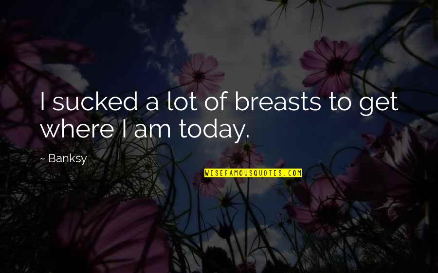 Kohlhaseins Quotes By Banksy: I sucked a lot of breasts to get