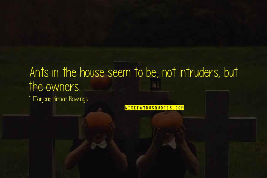 Kokart Quotes By Marjorie Kinnan Rawlings: Ants in the house seem to be, not Kokart Quotes By Marjorie Kinnan Rawlings: Ants in the house seem to be, not
