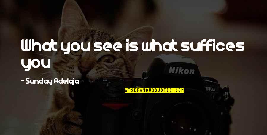 Koketso Mojela Quotes By Sunday Adelaja: What you see is what suffices you