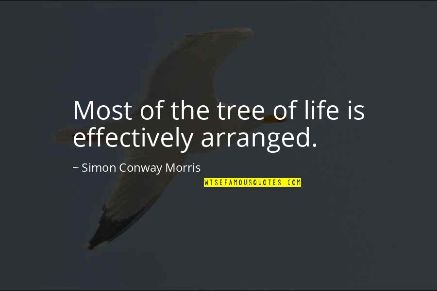 Kokios Operetes Quotes By Simon Conway Morris: Most of the tree of life is effectively Kokios Operetes Quotes By Simon Conway Morris: Most of the tree of life is effectively