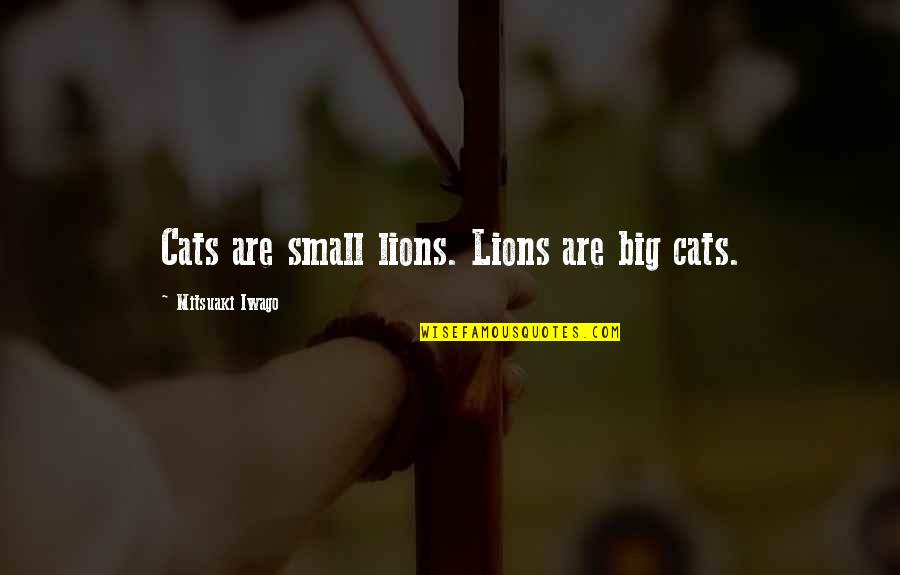 Kokko San Mateo Quotes By Mitsuaki Iwago: Cats are small lions. Lions are big cats.