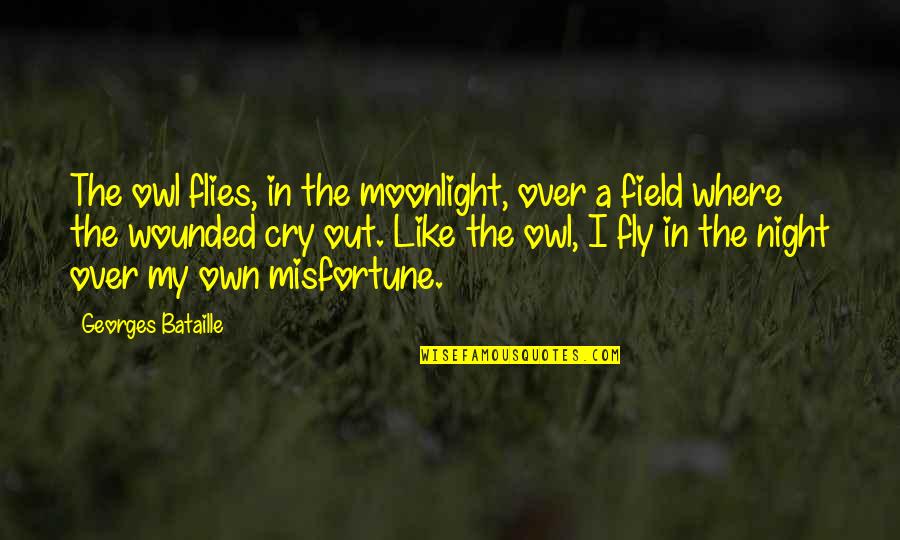Kokkoris Quotes By Georges Bataille: The owl flies, in the moonlight, over a Kokkoris Quotes By Georges Bataille: The owl flies, in the moonlight, over a