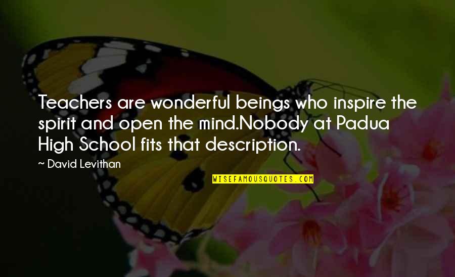 Kokulu Mum Quotes By David Levithan: Teachers are wonderful beings who inspire the spirit