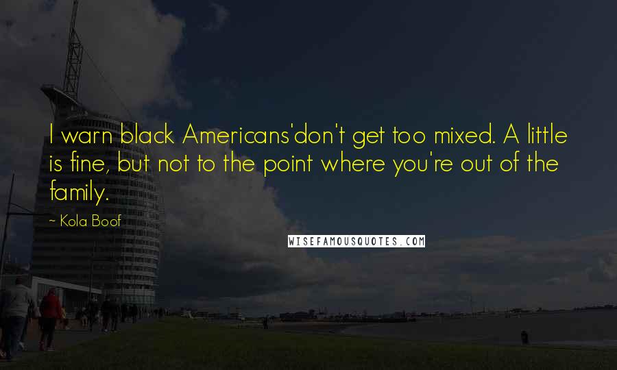 Kola Boof quotes: I warn black Americans'don't get too mixed. A little is fine, but not to the point where you're out of the family.