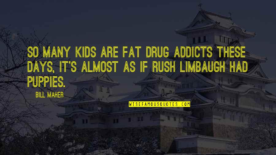 Kolacnys Bar B Q Quotes By Bill Maher: So many kids are fat drug addicts these Kolacnys Bar B Q Quotes By Bill Maher: So many kids are fat drug addicts these