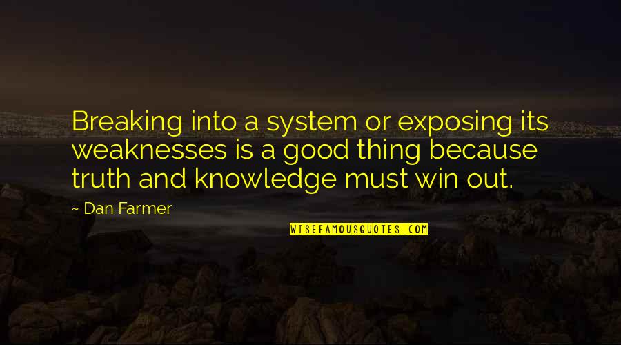 Kolaylastirilmis Quotes By Dan Farmer: Breaking into a system or exposing its weaknesses
