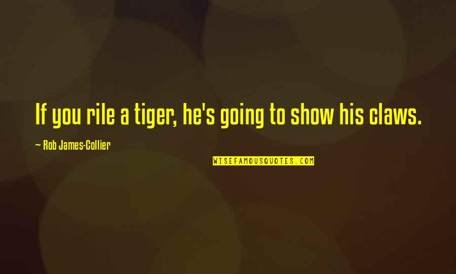 Koleinox Quotes By Rob James-Collier: If you rile a tiger, he's going to Koleinox Quotes By Rob James-Collier: If you rile a tiger, he's going to