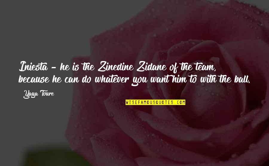 Kolekalciferol Quotes By Yaya Toure: Iniesta - he is the Zinedine Zidane of Kolekalciferol Quotes By Yaya Toure: Iniesta - he is the Zinedine Zidane of