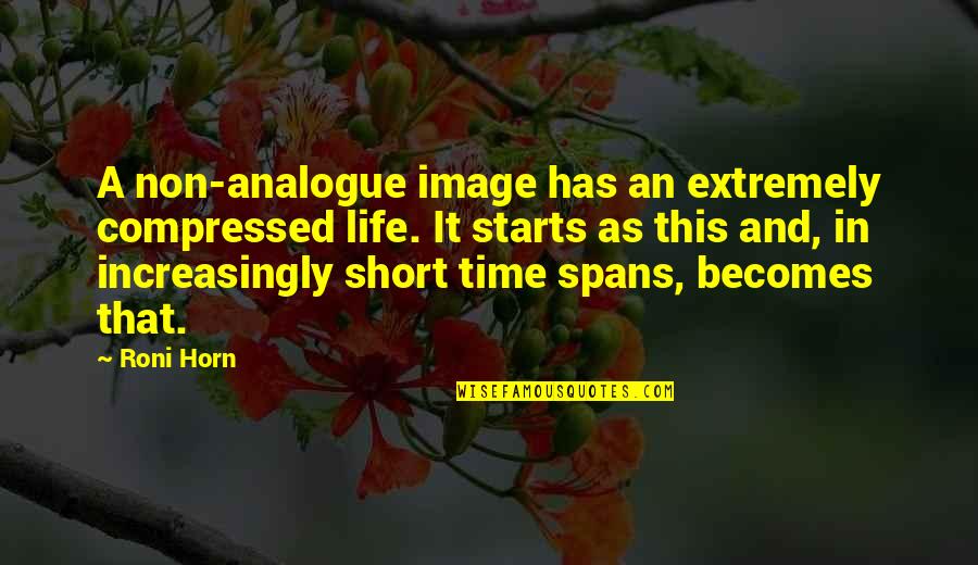 Kolem Pr Slovce Quotes By Roni Horn: A non-analogue image has an extremely compressed life.