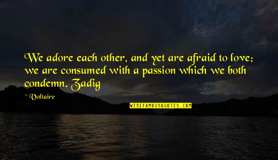 Kolem Pr Slovce Quotes By Voltaire: We adore each other, and yet are afraid