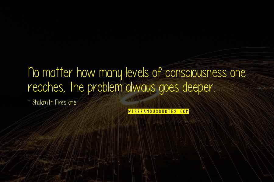 Kolesnikov Ivan Quotes By Shulamith Firestone: No matter how many levels of consciousness one