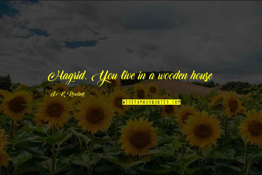 Kolibris Efeqti Quotes By J.K. Rowling: Hagrid. You live in a wooden house! Kolibris Efeqti Quotes By J.K. Rowling: Hagrid. You live in a wooden house!