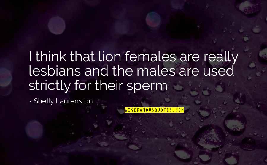 Kom Rka Grzyba Quotes By Shelly Laurenston: I think that lion females are really lesbians Kom Rka Grzyba Quotes By Shelly Laurenston: I think that lion females are really lesbians