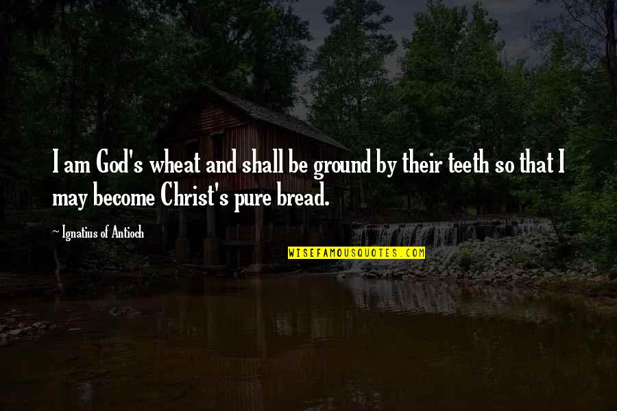 Komatsubara Ga Quotes By Ignatius Of Antioch: I am God's wheat and shall be ground
