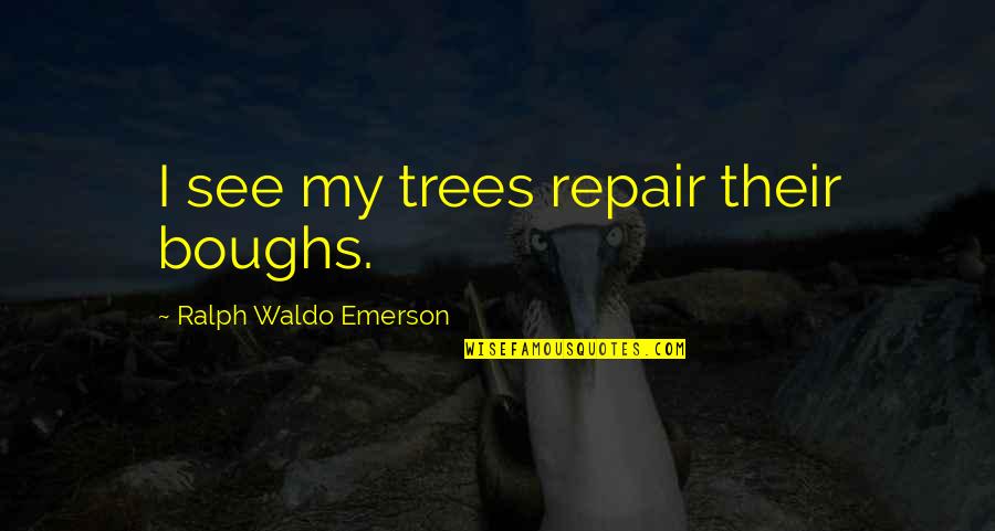 Komiyama Books Quotes By Ralph Waldo Emerson: I see my trees repair their boughs. Komiyama Books Quotes By Ralph Waldo Emerson: I see my trees repair their boughs.