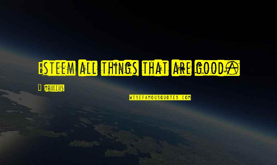 Komment Tor Sz Jelent Se Quotes By Tibullus: Esteem all things that are good. Komment Tor Sz Jelent Se Quotes By Tibullus: Esteem all things that are good.