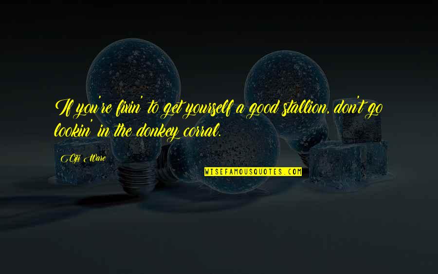 Kompalya Thunderbird Quotes By Ciji Ware: If you're fixin' to get yourself a good Kompalya Thunderbird Quotes By Ciji Ware: If you're fixin' to get yourself a good