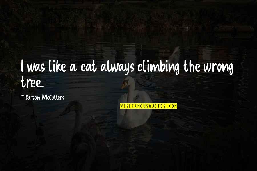 Komplement Rendszer Quotes By Carson McCullers: I was like a cat always climbing the