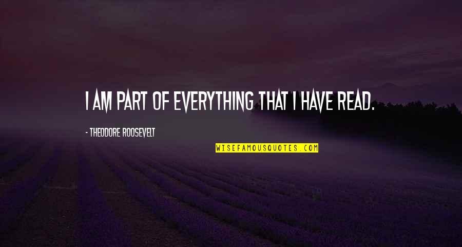 Komplexe Funktionen Quotes By Theodore Roosevelt: I am part of everything that I have