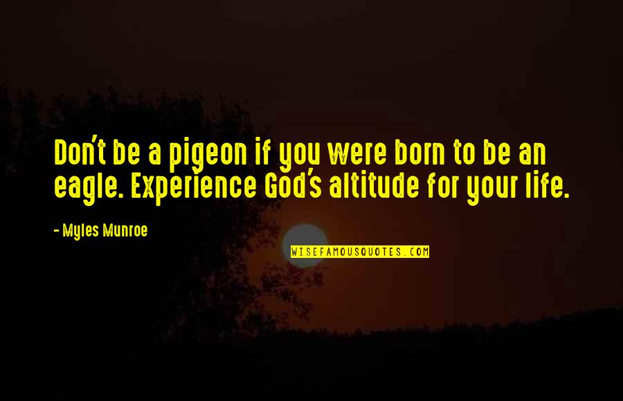Komrki Quotes By Myles Munroe: Don't be a pigeon if you were born