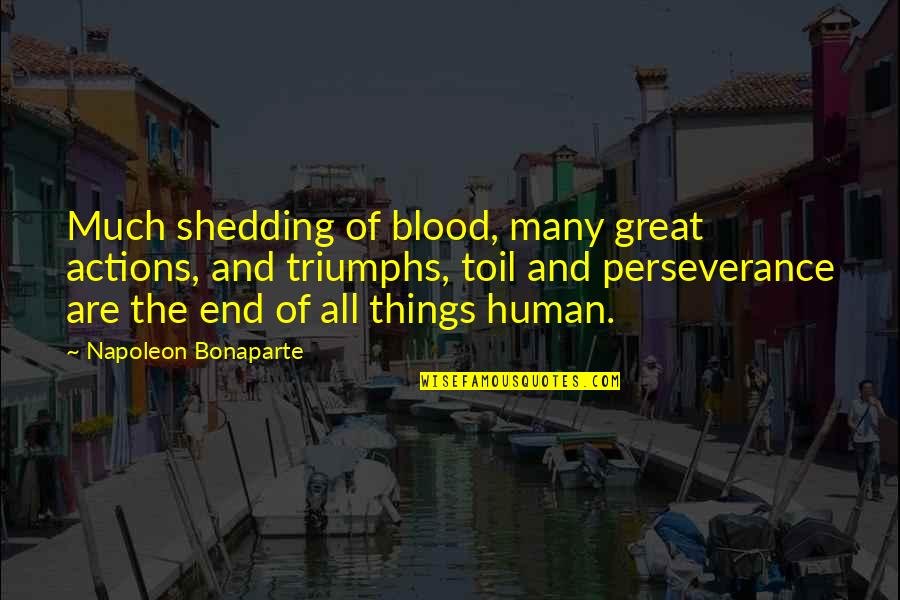 Koncentreret Quotes By Napoleon Bonaparte: Much shedding of blood, many great actions, and