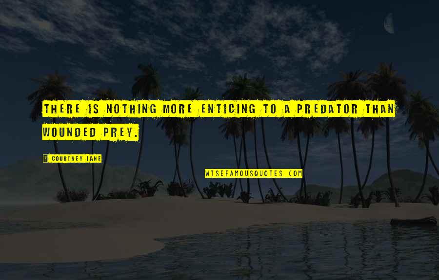 Konidela Production Quotes By Courtney Lane: there is nothing more enticing to a predator Konidela Production Quotes By Courtney Lane: there is nothing more enticing to a predator