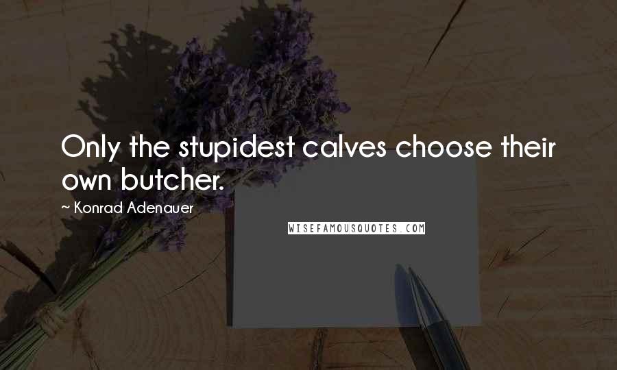 Konrad Adenauer quotes: Only the stupidest calves choose their own butcher. Konrad Adenauer quotes: Only the stupidest calves choose their own butcher.