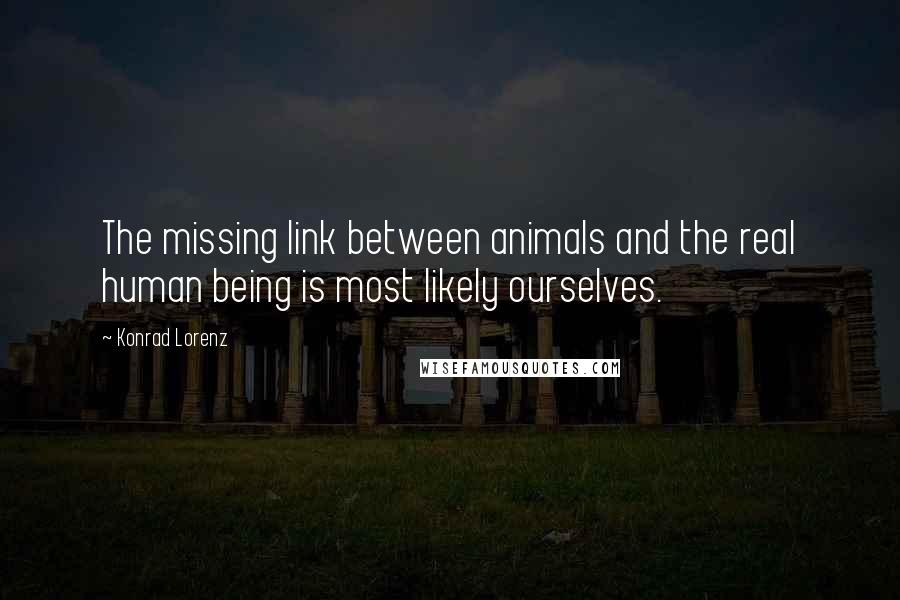 Konrad Lorenz quotes: The missing link between animals and the real human being is most likely ourselves.