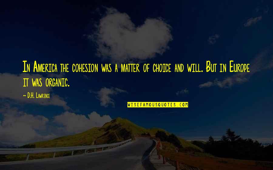 Konstabel Richie Quotes By D.H. Lawrence: In America the cohesion was a matter of Konstabel Richie Quotes By D.H. Lawrence: In America the cohesion was a matter of