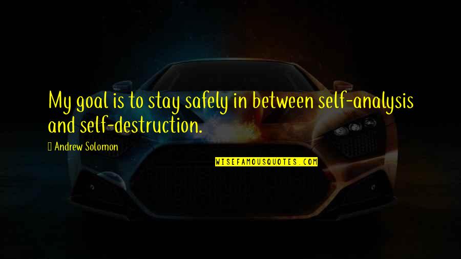 Kontinjensi Adalah Quotes By Andrew Solomon: My goal is to stay safely in between