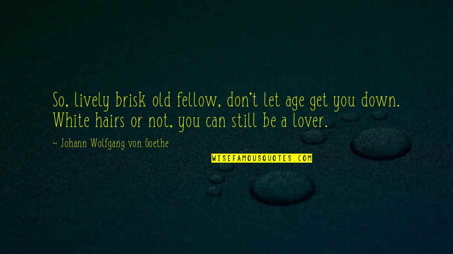 Koolmees Vrouw Quotes By Johann Wolfgang Von Goethe: So, lively brisk old fellow, don't let age Koolmees Vrouw Quotes By Johann Wolfgang Von Goethe: So, lively brisk old fellow, don't let age