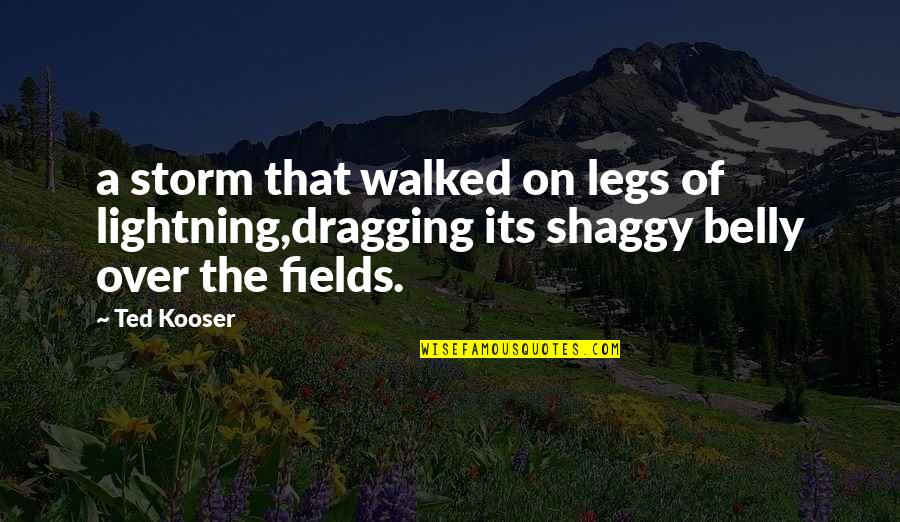 Kooser Quotes By Ted Kooser: a storm that walked on legs of lightning,dragging