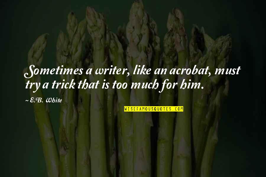 Kop Omhoog Quotes By E.B. White: Sometimes a writer, like an acrobat, must try