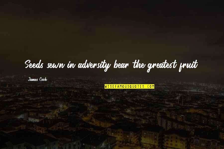 Kopecios Quotes By James Cook: Seeds sewn in adversity bear the greatest fruit. Kopecios Quotes By James Cook: Seeds sewn in adversity bear the greatest fruit.