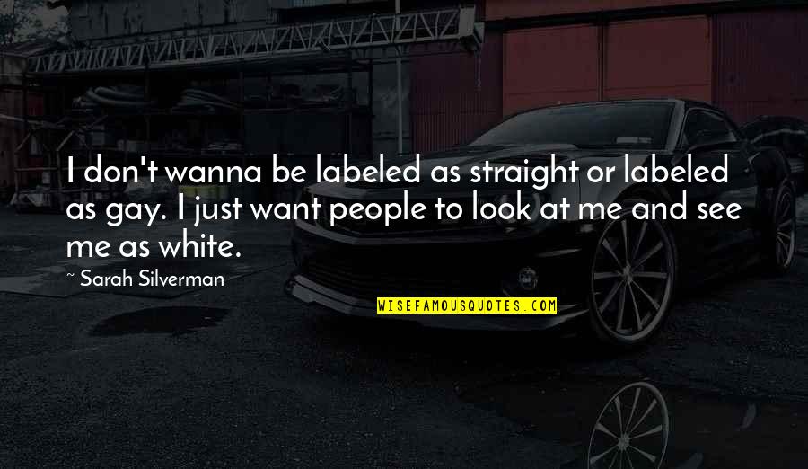 Koptos Statues Quotes By Sarah Silverman: I don't wanna be labeled as straight or Koptos Statues Quotes By Sarah Silverman: I don't wanna be labeled as straight or