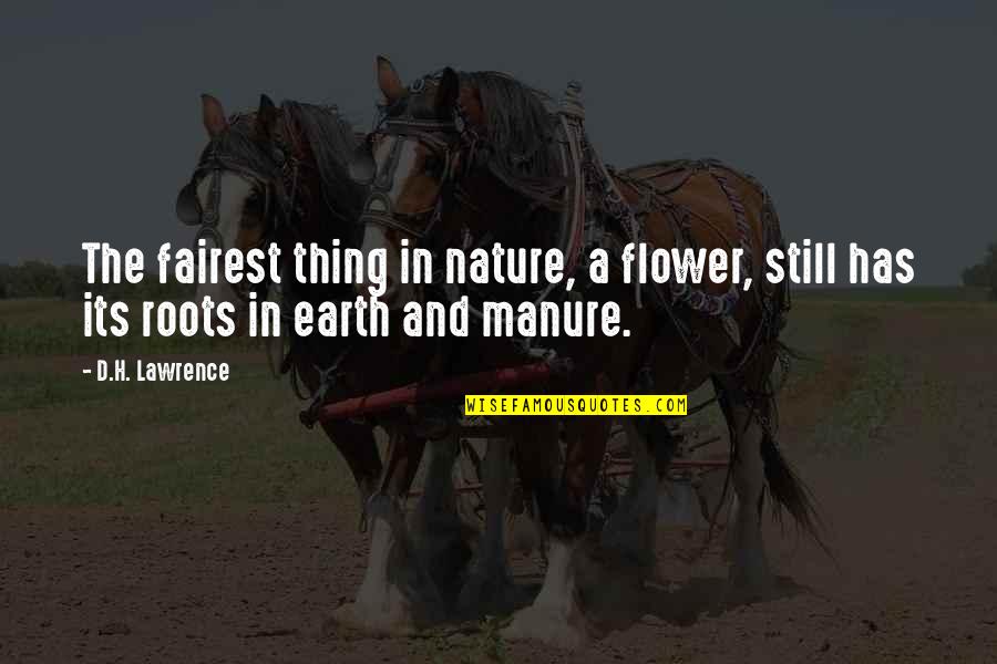 Koracam U Quotes By D.H. Lawrence: The fairest thing in nature, a flower, still