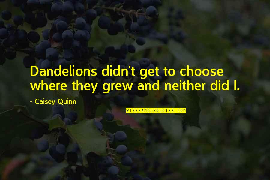 Korbyn Creepypasta Quotes By Caisey Quinn: Dandelions didn't get to choose where they grew